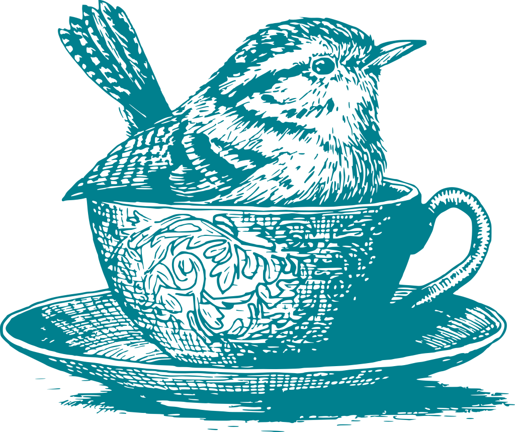 Wren Bird in a teacup